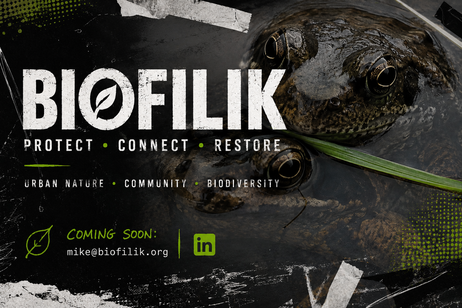Biofilik — Protect, Connect, Restore. Urban nature, community, biodiversity. Coming soon.